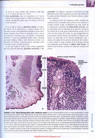 http://bookmedico.blogspot.com
 