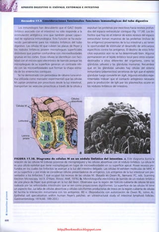 http://bookmedico.blogspot.com
 