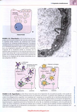 http://bookmedico.blogspot.com
 