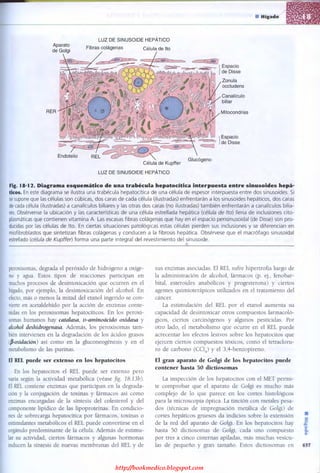 http://bookmedico.blogspot.com
 