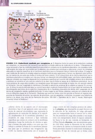 http://bookmedico.blogspot.com
 