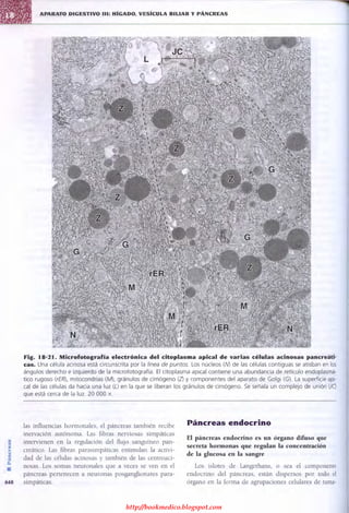 http://bookmedico.blogspot.com
 