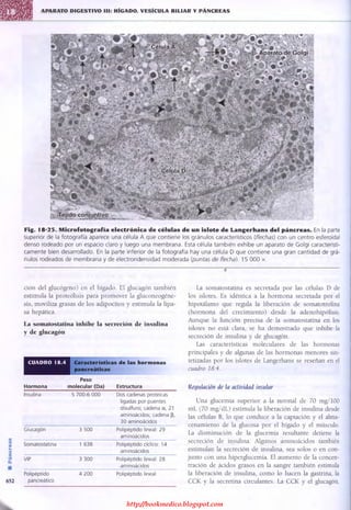 http://bookmedico.blogspot.com
 