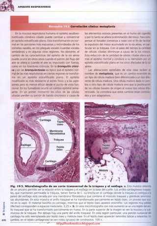 http://bookmedico.blogspot.com
 
