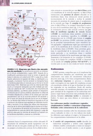 http://bookmedico.blogspot.com
 
