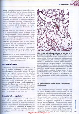 http://bookmedico.blogspot.com
 