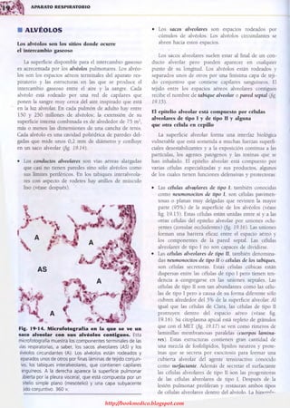 http://bookmedico.blogspot.com
 
