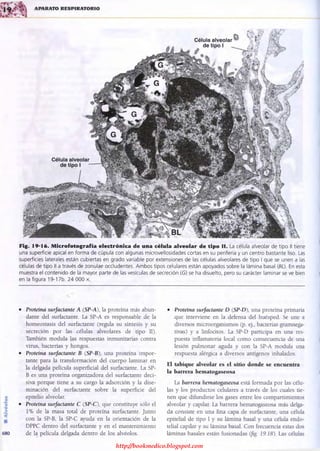 http://bookmedico.blogspot.com
 