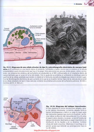 http://bookmedico.blogspot.com
 