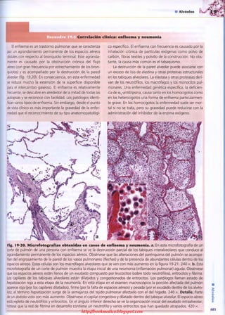 http://bookmedico.blogspot.com
 