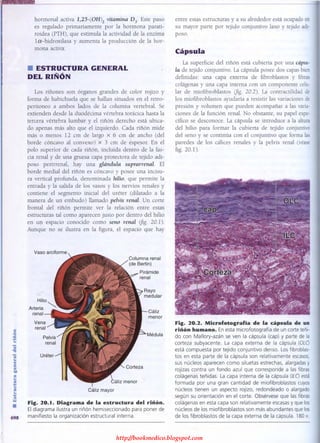 http://bookmedico.blogspot.com
 