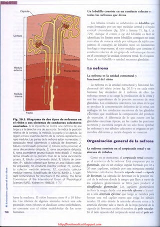 http://bookmedico.blogspot.com
 