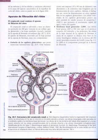 http://bookmedico.blogspot.com
 