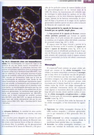 http://bookmedico.blogspot.com
 
