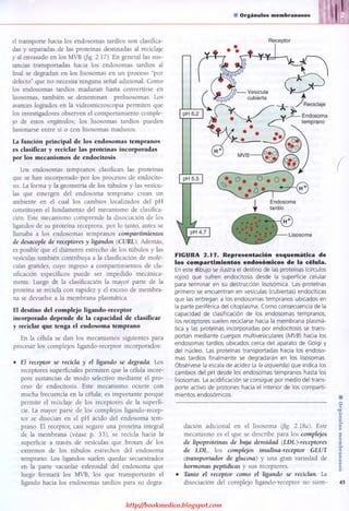 http://bookmedico.blogspot.com
 