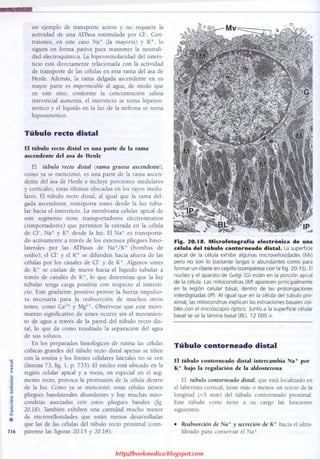 http://bookmedico.blogspot.com
 