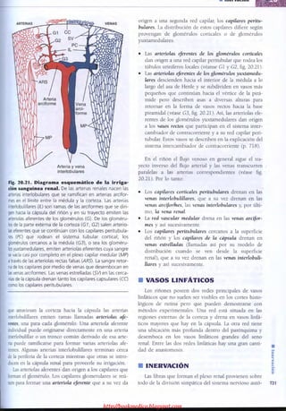http://bookmedico.blogspot.com
 