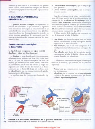 http://bookmedico.blogspot.com
 