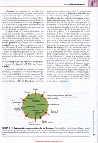 http://bookmedico.blogspot.com
 