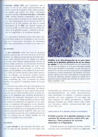 http://bookmedico.blogspot.com
 