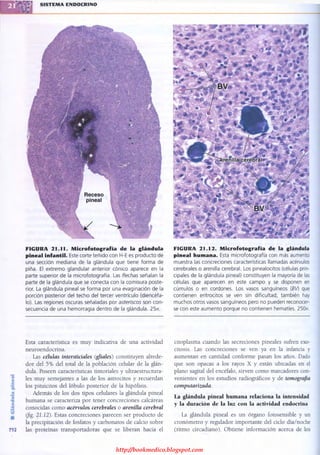 http://bookmedico.blogspot.com
 
