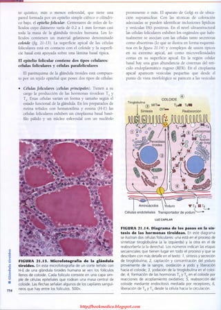 http://bookmedico.blogspot.com
 