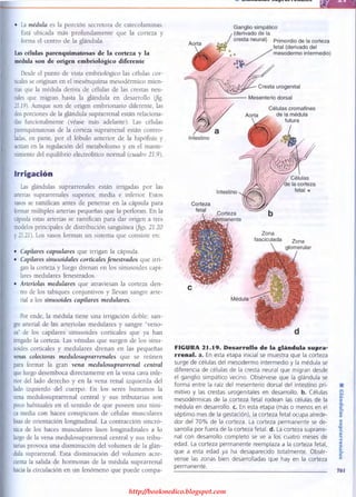 http://bookmedico.blogspot.com
 