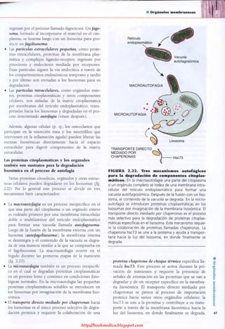 http://bookmedico.blogspot.com
 