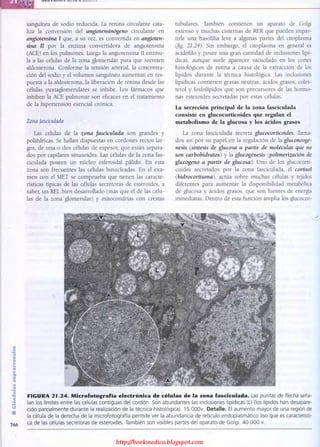 http://bookmedico.blogspot.com
 
