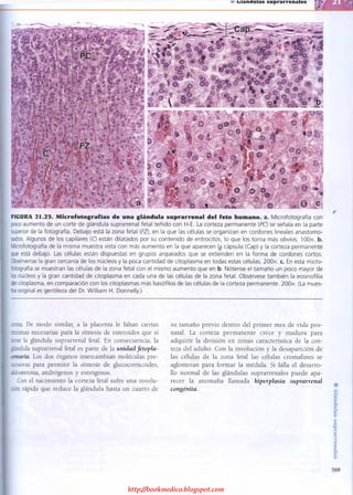 http://bookmedico.blogspot.com
 