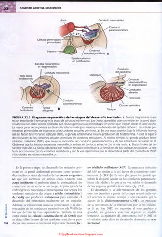http://bookmedico.blogspot.com
 