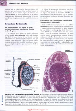 http://bookmedico.blogspot.com
 