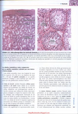 http://bookmedico.blogspot.com
 