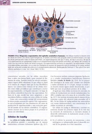 http://bookmedico.blogspot.com
 