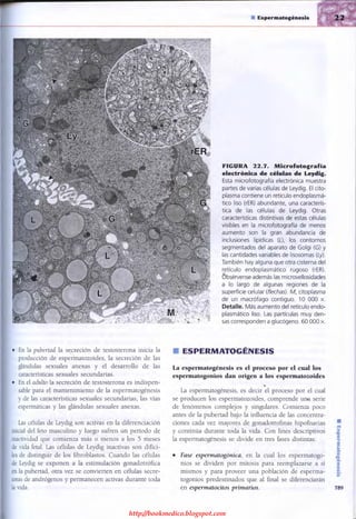 http://bookmedico.blogspot.com
 