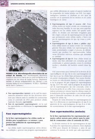 http://bookmedico.blogspot.com
 