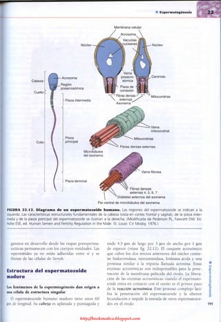 http://bookmedico.blogspot.com
 