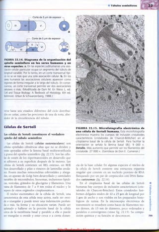 http://bookmedico.blogspot.com
 