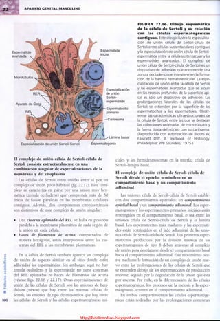 http://bookmedico.blogspot.com
 