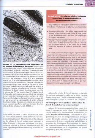 http://bookmedico.blogspot.com
 