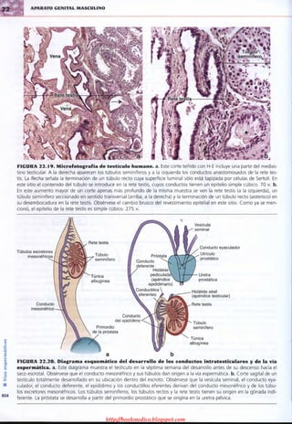 http://bookmedico.blogspot.com
 