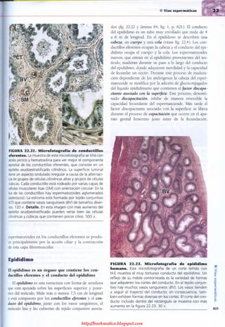http://bookmedico.blogspot.com
 