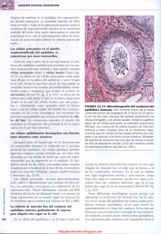 http://bookmedico.blogspot.com
 