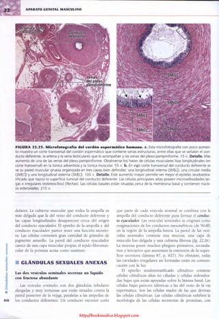 http://bookmedico.blogspot.com
 