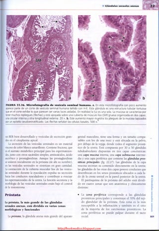 http://bookmedico.blogspot.com
 