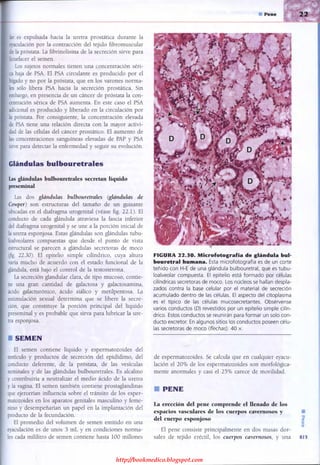 http://bookmedico.blogspot.com
 