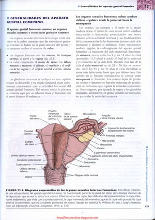 http://bookmedico.blogspot.com
 