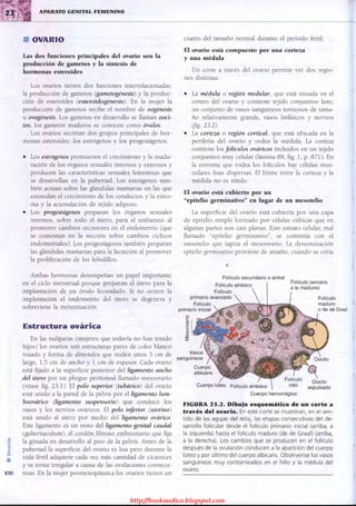 http://bookmedico.blogspot.com
 