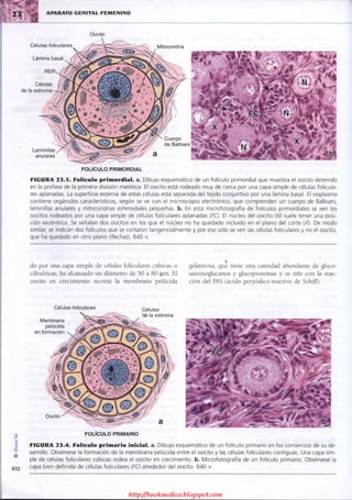 http://bookmedico.blogspot.com
 