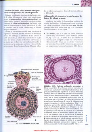 http://bookmedico.blogspot.com
 